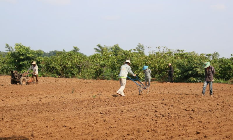 Làm đất và lên luống